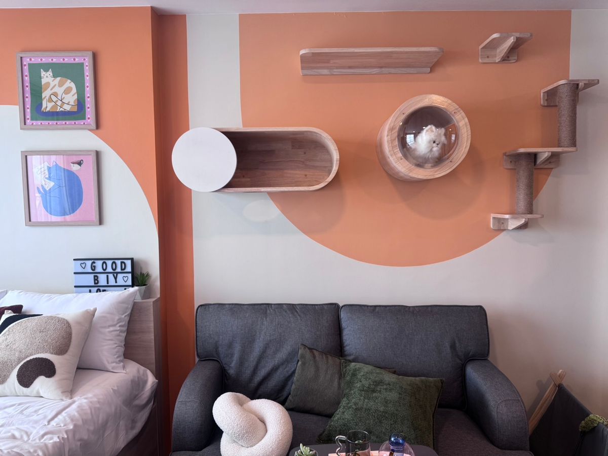 ขายคอนโดบางแค เพชรเกษม : 🔥𝙏𝙝𝙚 𝙈𝙪𝙫𝙚 𝙋𝙖𝙬 𝘽𝙖𝙣𝙜𝙠𝙝𝙚𝙖 🔥🐶😺 คอนโดเลี้ยงสัตว์ ห้องแต่งครบ เฟอร์+เครื่องใช้ไฟฟ้า ส่วนลดจัดเต็ม รับประกันการันตีราคาดีที่สุด💯📱092-8088899