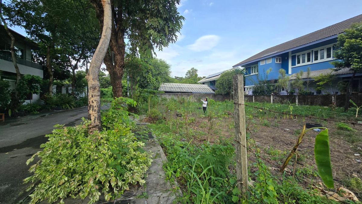 ขายที่ดินนวมินทร์ รามอินทรา : ขายที่ดินในหมู่บ้านนวธานี เสรีไทย 59  เหมาะสร้างบ้านหรู เนื้อที่ 118 ตารางวา แปลงมุม ถมแล้ว หน้ากว้าง 15 เมตร ลึก 32 เมตร