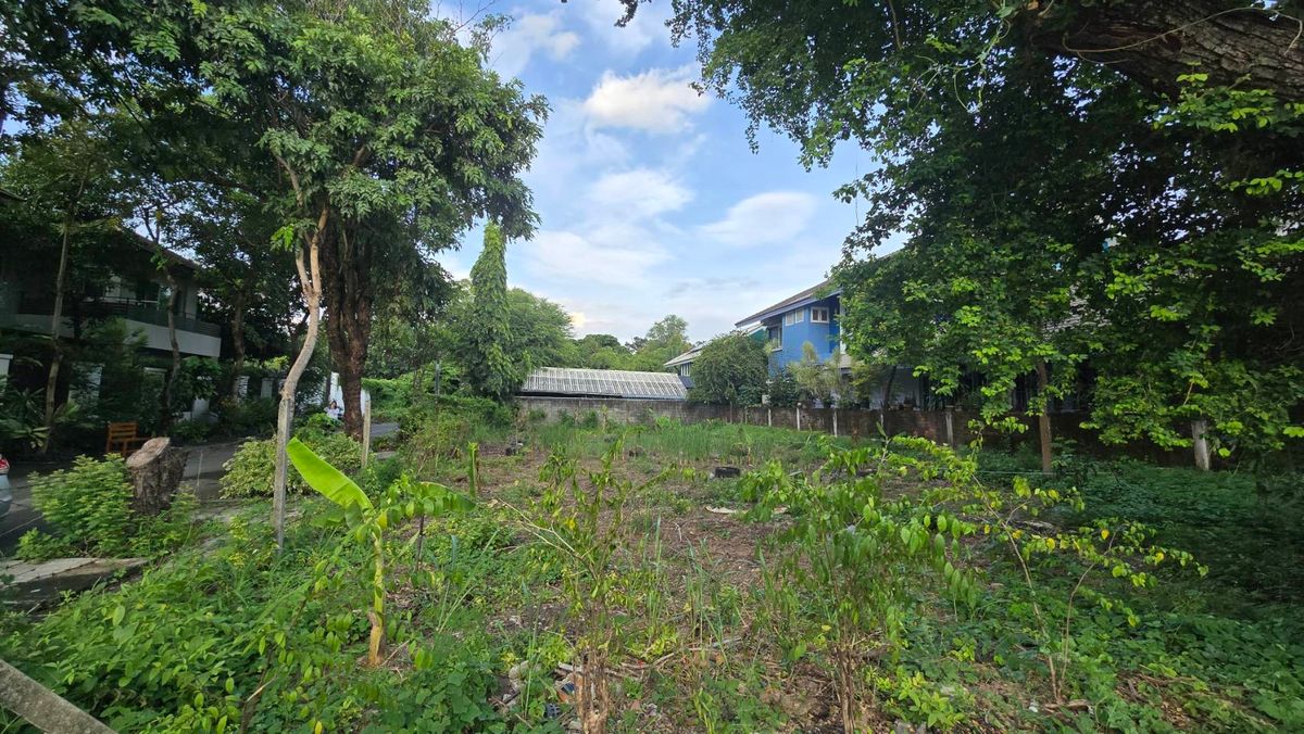 ขายที่ดินนวมินทร์ รามอินทรา : ขายที่ดินในหมู่บ้านนวธานี เสรีไทย 59  เหมาะสร้างบ้านหรู เนื้อที่ 118 ตารางวา แปลงมุม ถมแล้ว หน้ากว้าง 15 เมตร ลึก 32 เมตร