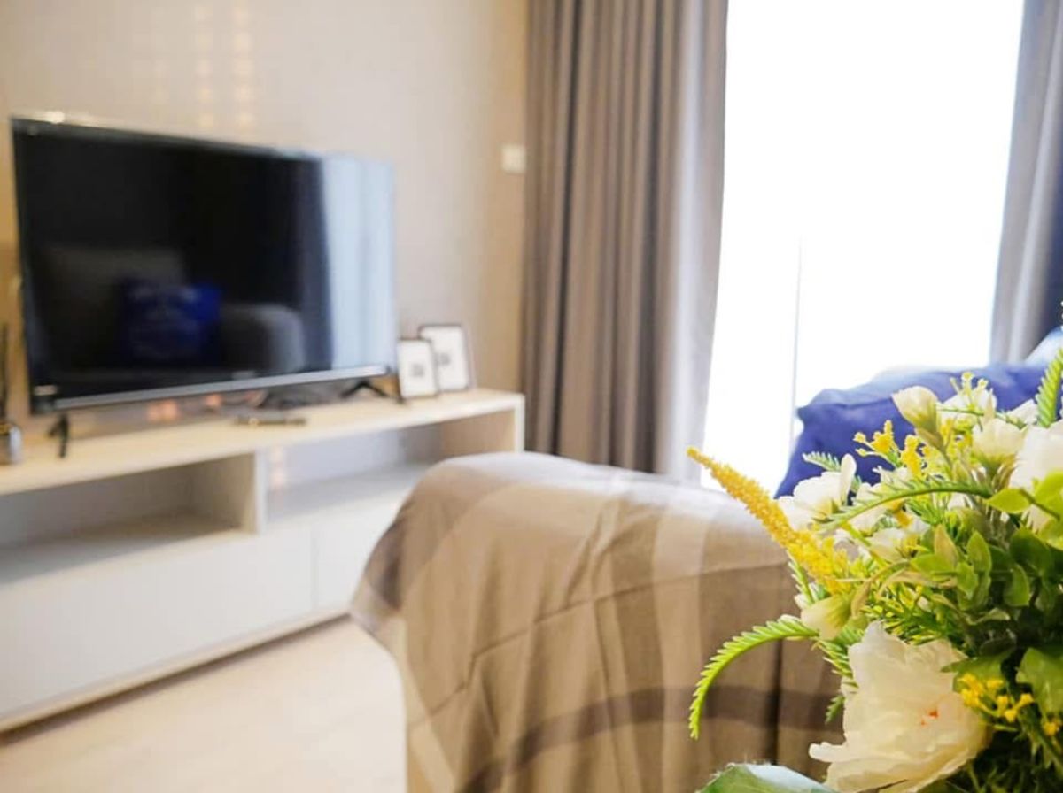 ขายคอนโดบางนา แบริ่ง ลาซาล : Ideo O2 / 1 Bedroom (SALE WITH TENANT), ไอดีโอ โอทู / 1 ห้องนอน (ขายพร้อมผู้เช่า) PANG129