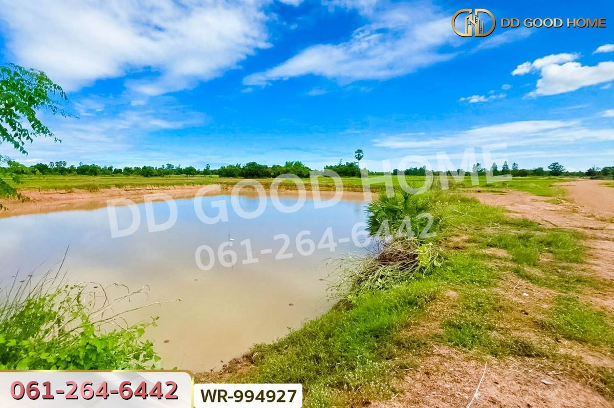 ขายที่ดินชัยนาท : WR-994927 ที่ดินหันคา 149 ไร่ 114 ตร.ว. ชัยนาท ใกล้โรงพยาบาลหันคา