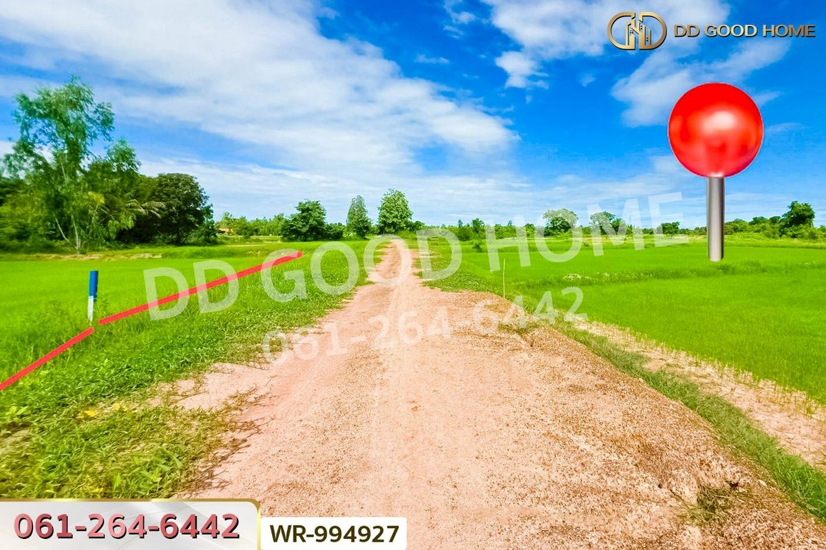 ขายที่ดินชัยนาท : WR-994927 ที่ดินหันคา 149 ไร่ 114 ตร.ว. ชัยนาท ใกล้โรงพยาบาลหันคา