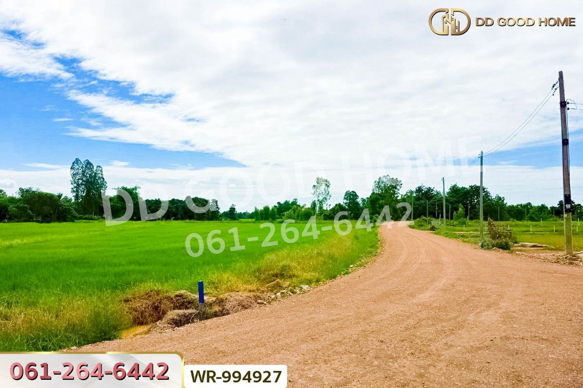 ขายที่ดินชัยนาท : WR-994927 ที่ดินหันคา 149 ไร่ 114 ตร.ว. ชัยนาท ใกล้โรงพยาบาลหันคา