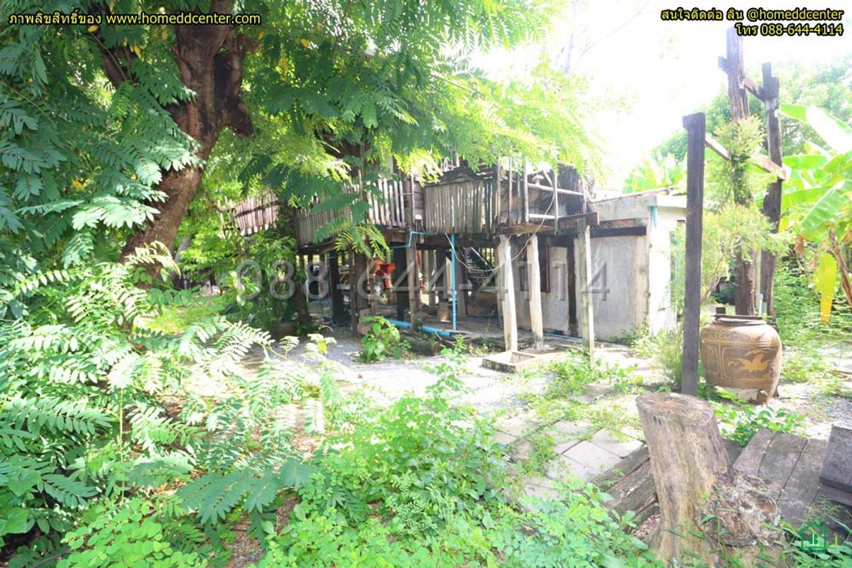 For SaleLandRama 8, Samsen, Ratchawat : Empty land for sale, 217.2 sq m, in the heart of “Dusit“, Soi Ruamchit 3, Phichai Road, brown layout, Y.8-6.