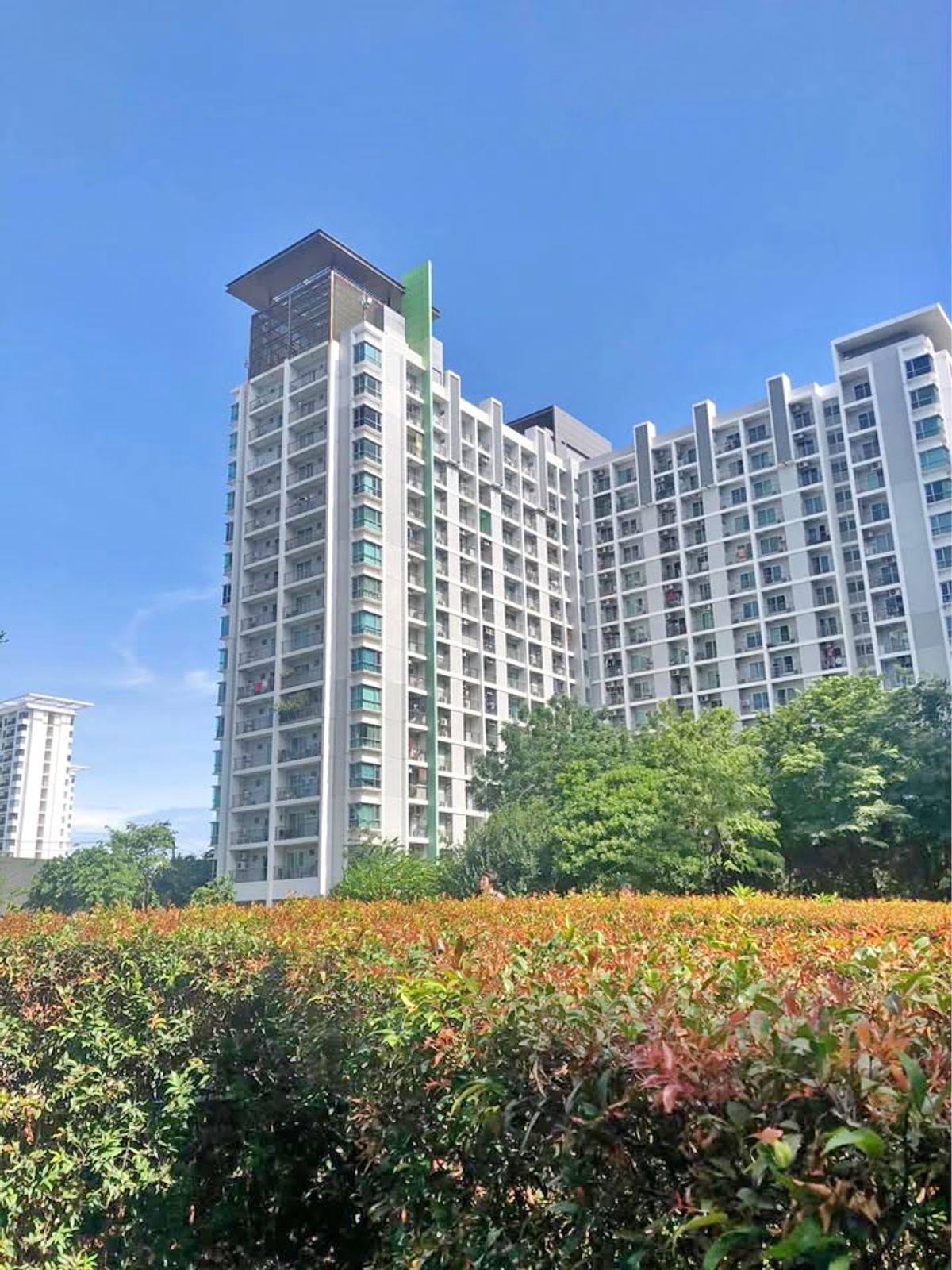 For RentCondoPattanakan, Srinakarin : For rent, 2 bedrooms, 14th floor, The Parkland Srinakarin, near MRT Sri Lasalle.