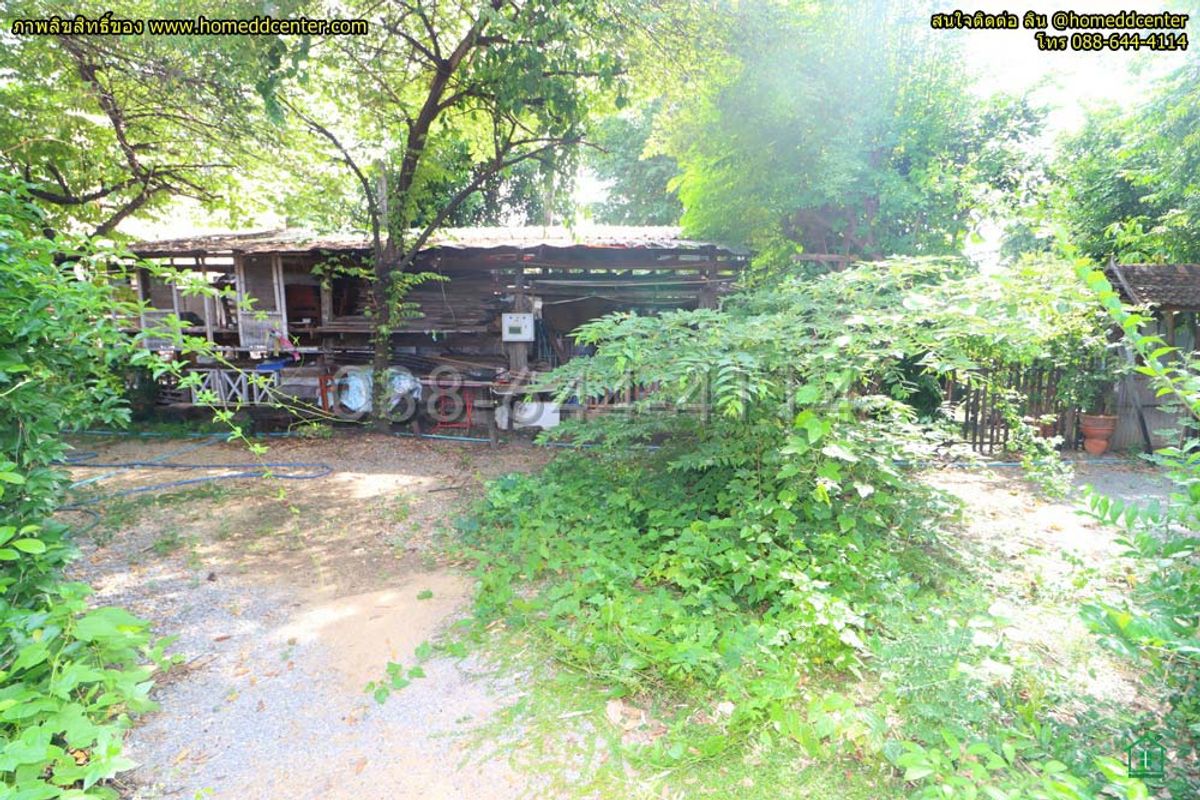 For SaleLandRama 8, Samsen, Ratchawat : Empty land for sale, 217.2 sq m, in the heart of “Dusit“, Soi Ruamchit 3, Phichai Road, brown layout, Y.8-6.
