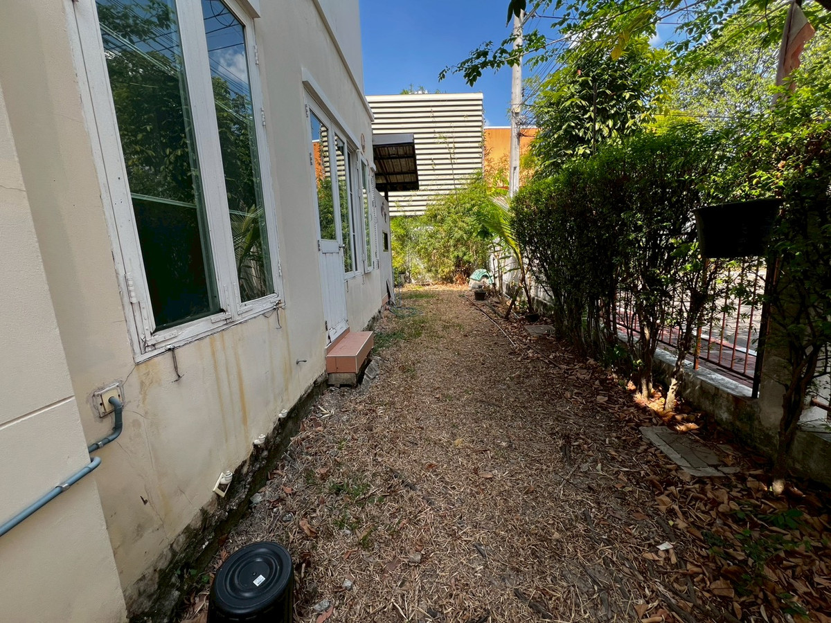 ให้เช่าบ้านพระราม 5 ราชพฤกษ์ บางกรวย : บ้านเดี่ยว พื้นที่เยอะ ครัวใหญ่มาก จดบริษัทได้ เลี้ยงสัตว์ได้ อยู่หลัง เซ็นทรัล เวสต์วิลล์ 4 ห้องนอน 3 ห้องน้ำ