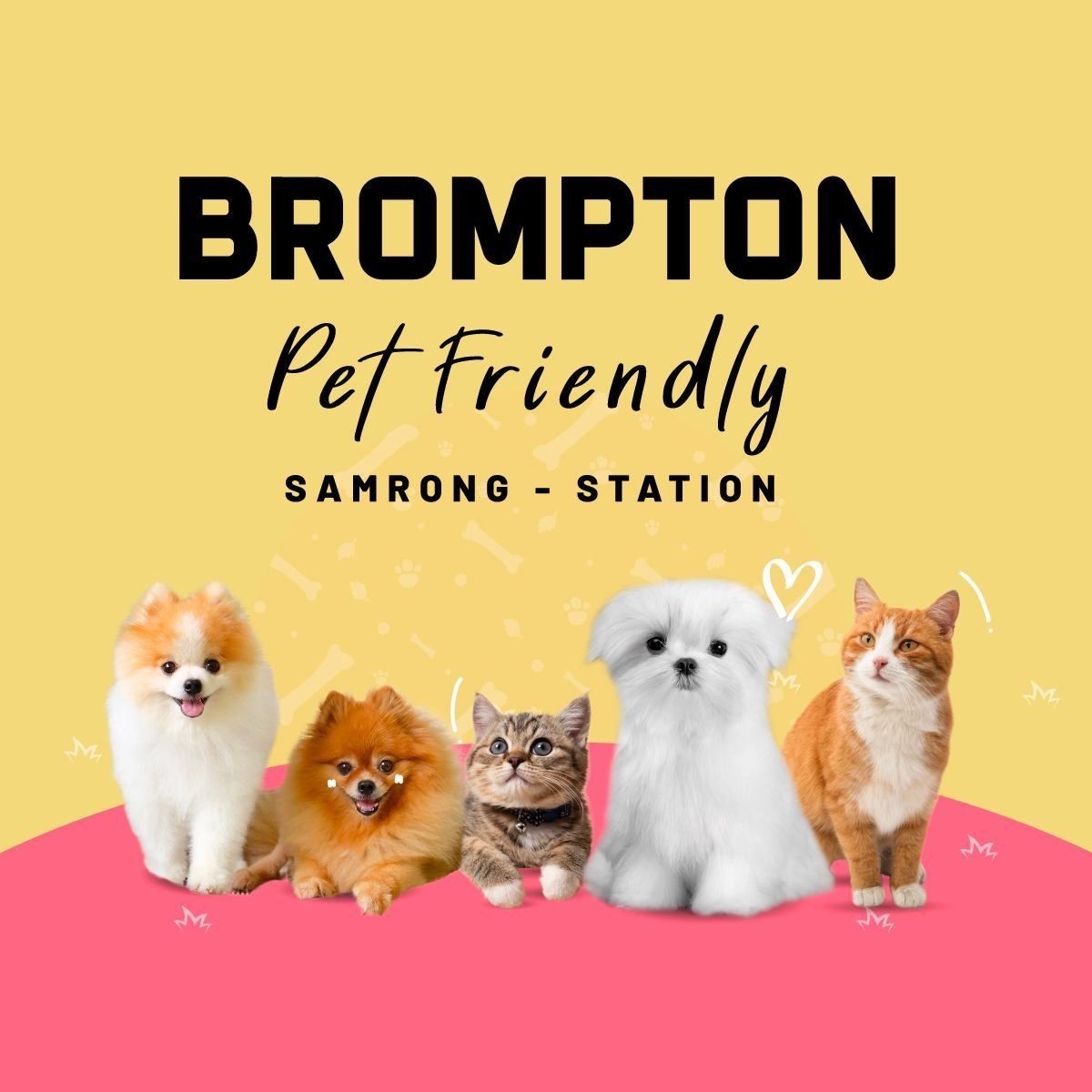 For RentCondoSamut Prakan,Samrong : 🔥Condo for rent, pets allowed🐶😻🐈 Brompton Pet Friendly Samrong-Station 23 sq m, 1 bedroom, 1 bathroom Line @bzprOperty
