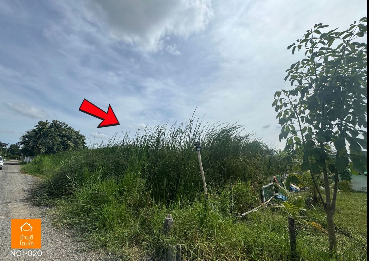 ขายที่ดินพุทธมณฑล ศาลายา : ขายที่ดินเปล่า 2 งาน 44 ตร.ว. ( 244 ตรว.) พุทธมณฑลสาย 4  ซ.ทวีวัฒนา 25 แยก 17