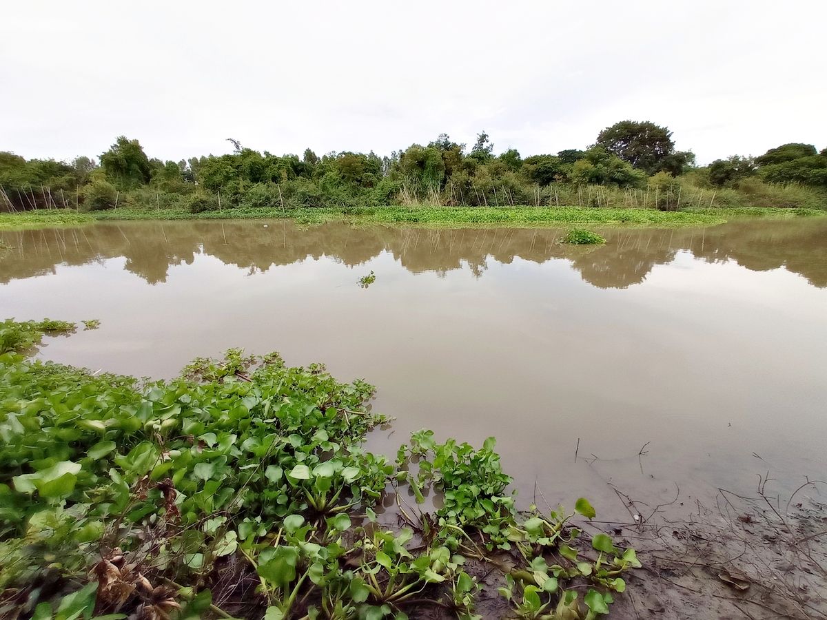 For SaleLandAyutthaya : Land for sale next to a natural canal, beautiful canal view, canal side width up to 68 m., front next to a 71 m wide rural highway, suitable for building a house or doing business.