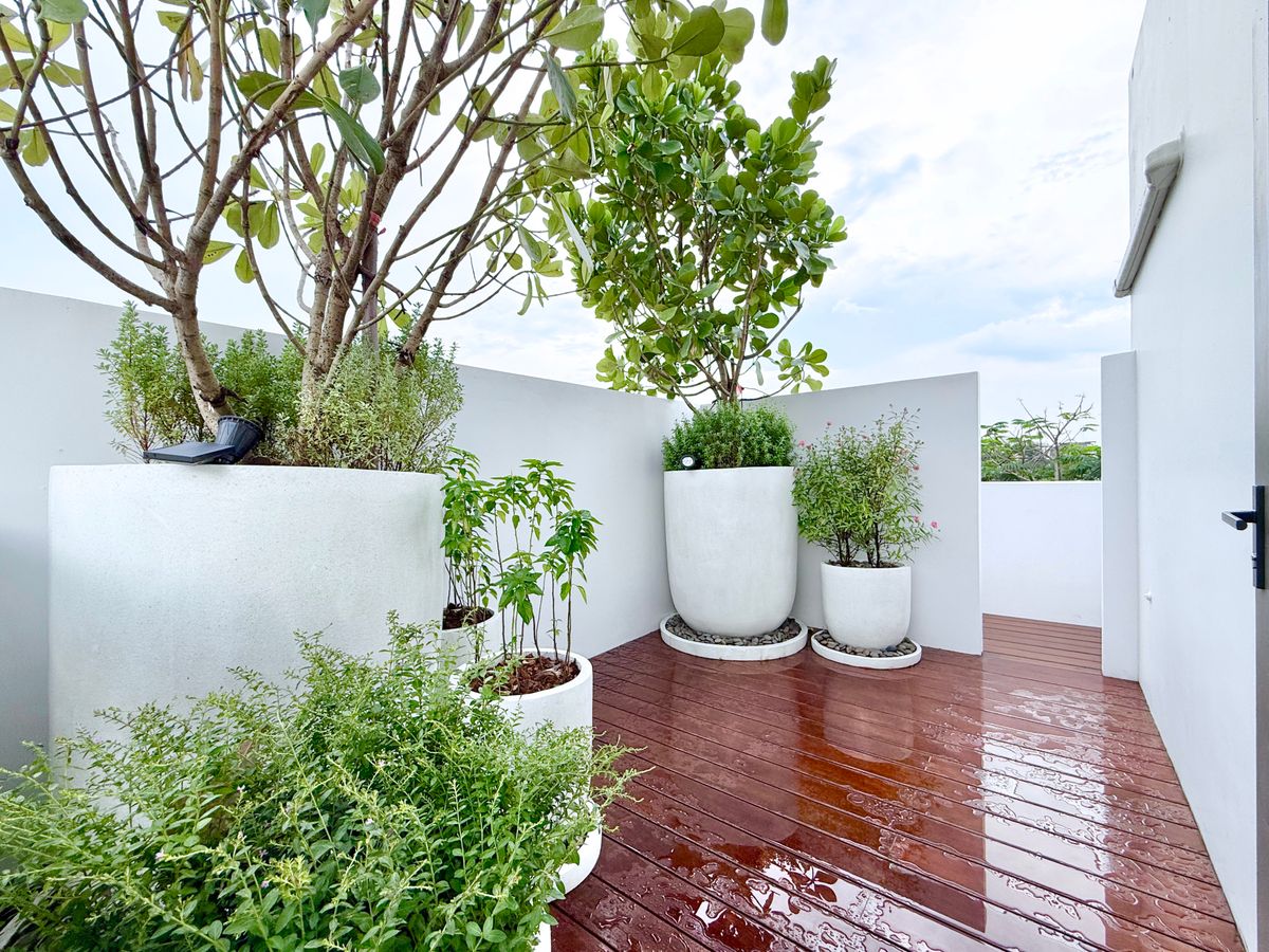 ขายบ้านพระราม 9 เพชรบุรีตัดใหม่ RCA : ขายบ้านตัวอย่างสุดหรู CANVAS RAMA 9 – แบบ Atelier บ้านเดี่ยว 3 ชั้น พร้อมลิฟต์ส่วนตัว หลังเดียวในโครงการที่มี “สระว่ายน้ำส่วนตัว” และ “ที่ดินใหญ่ที่สุด”