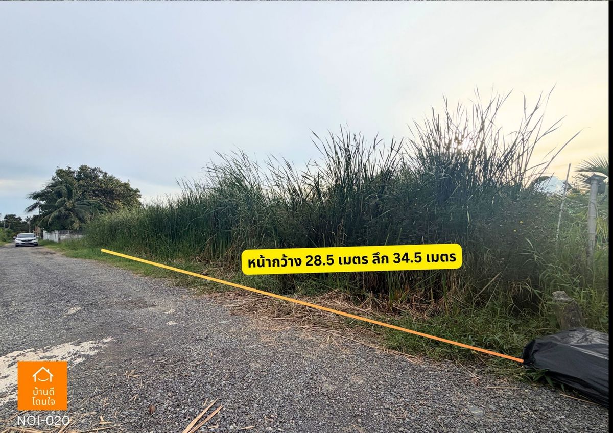 ขายที่ดินพุทธมณฑล ศาลายา : ขายที่ดินเปล่า 2 งาน 44 ตร.ว. ( 244 ตรว.) พุทธมณฑลสาย 4  ซ.ทวีวัฒนา 25 แยก 17