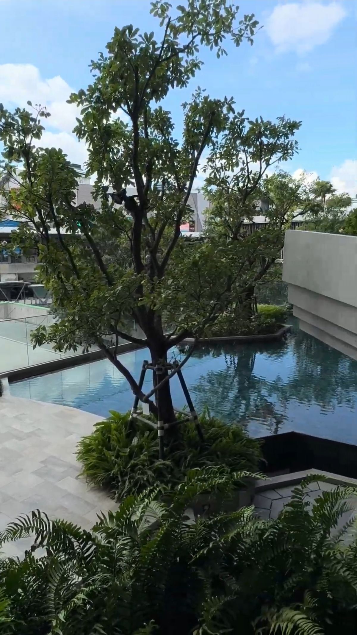 ให้เช่าคอนโดลาดพร้าว เซ็นทรัลลาดพร้าว : สถานะตามภาพปก วิวสวยเหมือนในซีรี่🔥 ให้เช่า! ห้องมุมหนึ่งเดียว ชั้น 40 Life Ladprao Valley ติด BTS ห้าแยกลาดพร้าว 🔥แปลนห้องแบบพิเศษ