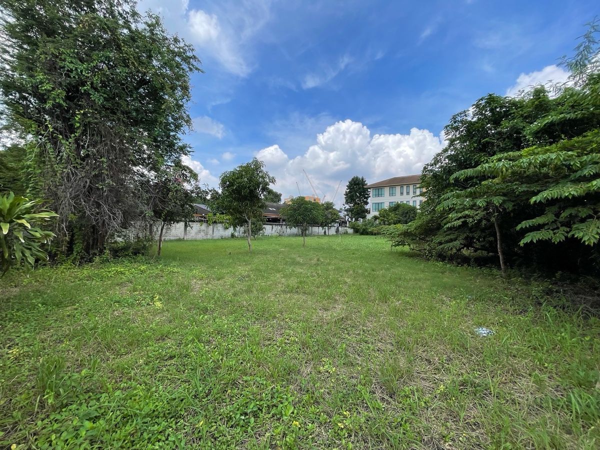 ขายที่ดินอ่อนนุช อุดมสุข : 📢👇 โอกาสพิเศษสำหรับผู้มองหาที่ดินทำเลในเมือง!ที่ดินแปลงสวย สุขุมวิท 101 – ผืนใหญ่  บรรยากาศเงียบสงบ เป็นส่วนตัว เหมาะสำหรับปลูกบ้านพักอาศัย หรือพัฒนาเป็นโครงการเพื่อการลงทุน (แบ่งขายครึ่งแปลงได้)