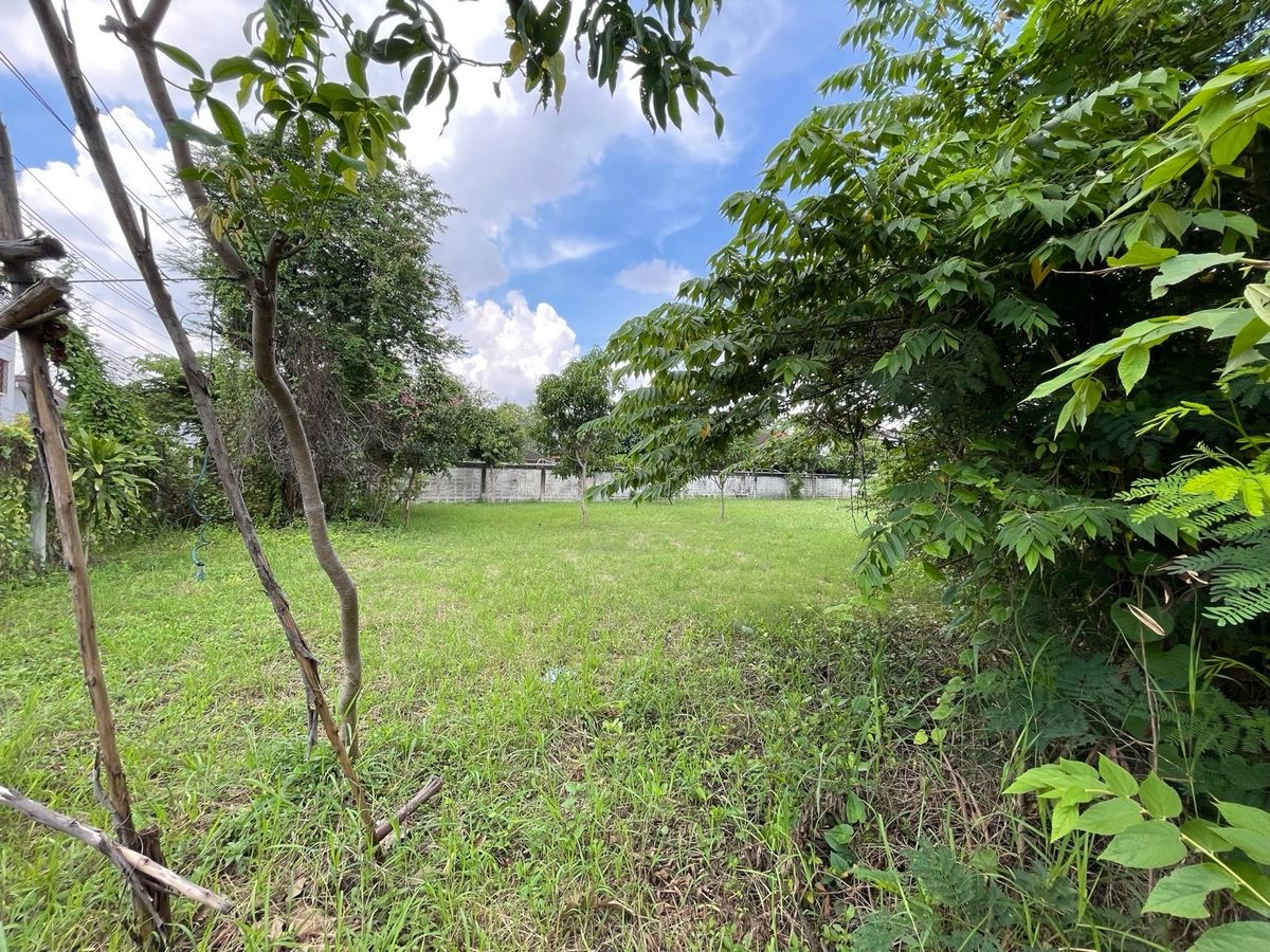 ขายที่ดินอ่อนนุช อุดมสุข : 📢👇 โอกาสพิเศษสำหรับผู้มองหาที่ดินทำเลในเมือง!ที่ดินแปลงสวย สุขุมวิท 101 – ผืนใหญ่  บรรยากาศเงียบสงบ เป็นส่วนตัว เหมาะสำหรับปลูกบ้านพักอาศัย หรือพัฒนาเป็นโครงการเพื่อการลงทุน (แบ่งขายครึ่งแปลงได้)