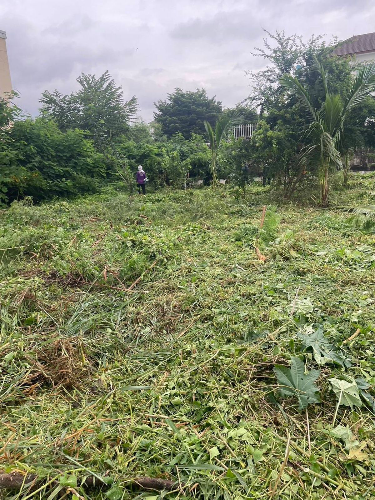 For SaleLandOnnut, Udomsuk : Land for sale in a potential location – Soi On Nut 46/2 (Sukhumvit 77)