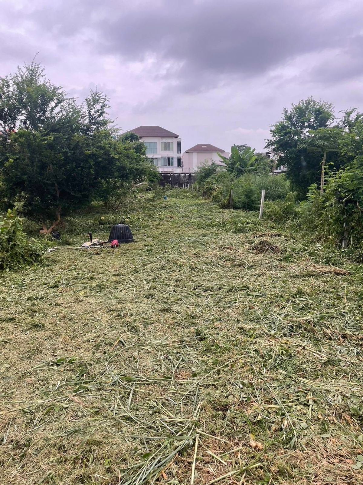 ขายที่ดินอ่อนนุช อุดมสุข : ขายที่ดินทำเลศักยภาพ – ซอยอ่อนนุช 46/2 (สุขุมวิท 77)