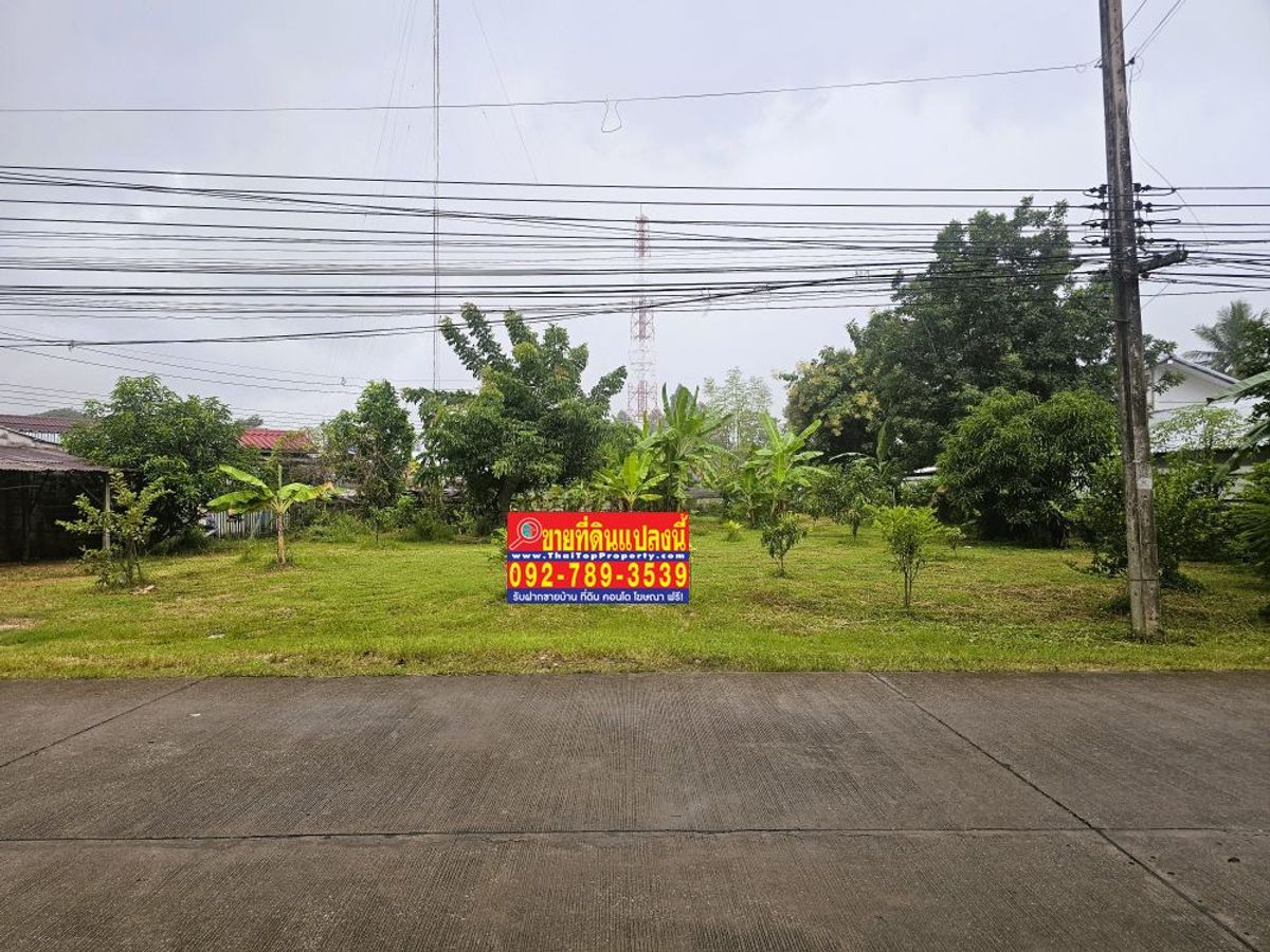 ขายที่ดินกำแพงเพชร : ขายที่ดิน บ้านวังยาง นครชุม กำแพงเพชร 229.7 ตร.วา ใกล้แขวงทางหลวงกำแพงเพชร ม.ราชภัฎกำแพงเพชร