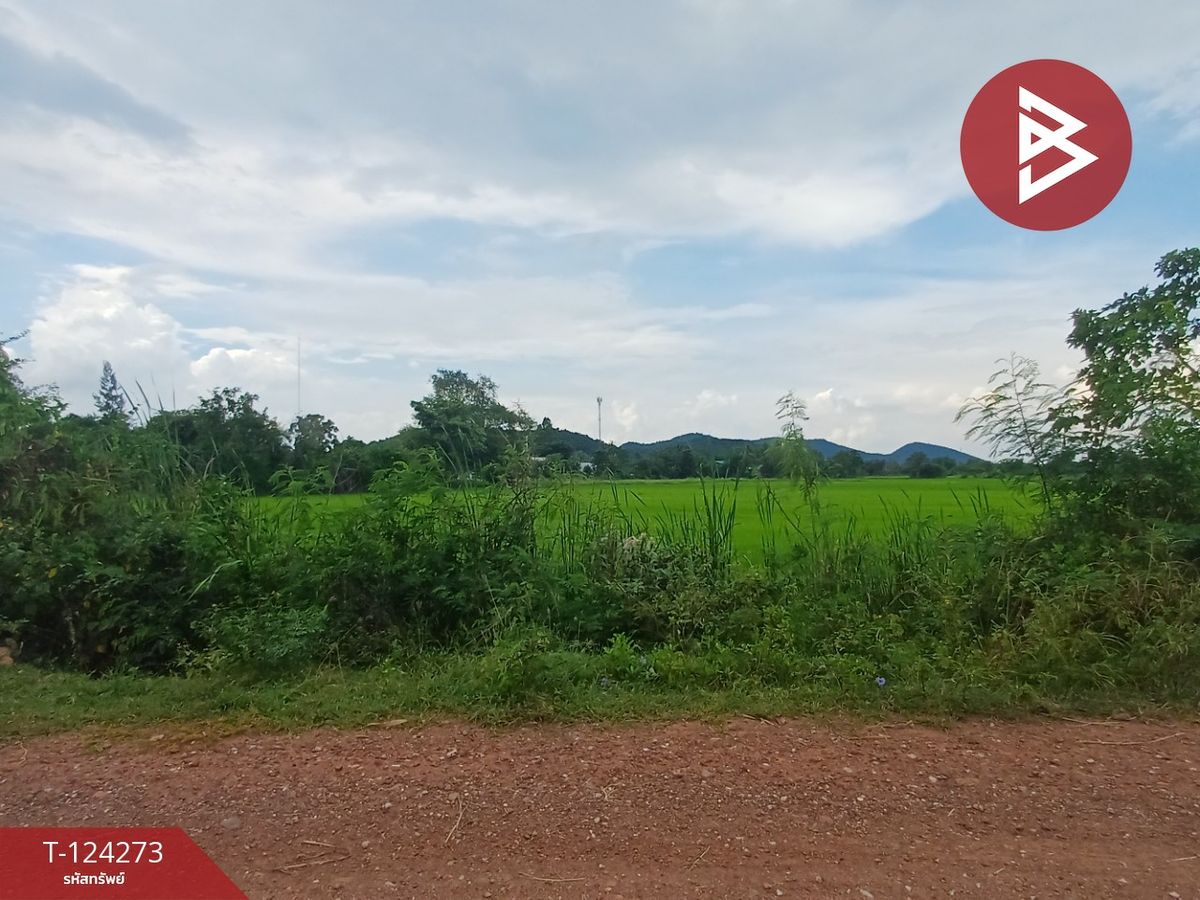 For SaleLandRatchaburi : Land for sale, area 8 rai 1 ngan 24.1 sq m, Photharam, Ratchaburi.
