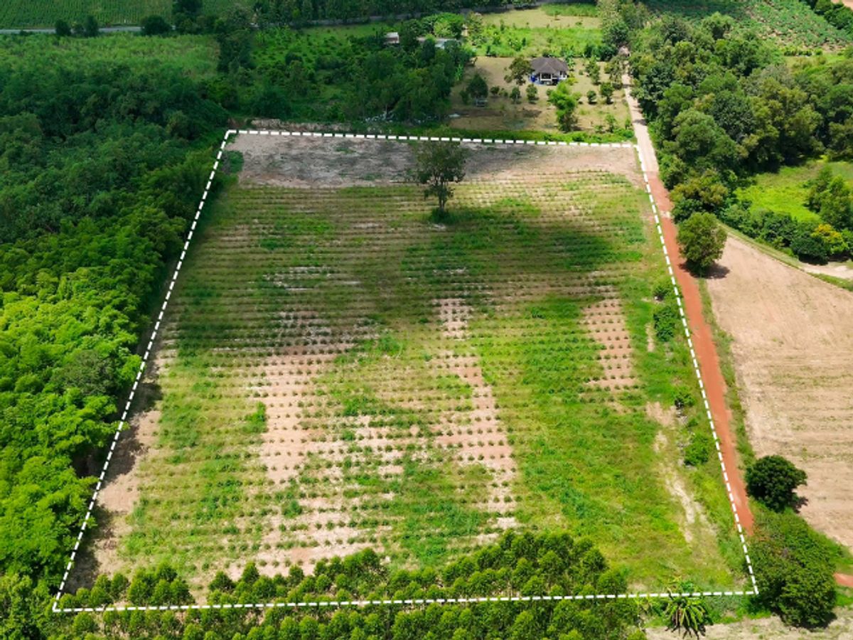 For SaleLandPattaya, Bangsaen, Chonburi : Land for sale, 11 rai, Ban Nong Mek, Village No. 15, Soi Ban Muang Wan Soi 1, Nong Hiang Subdistrict, Phanat Nikhom District, bypass side, from Road 331 (1.5 km.), 1 million per rai (including transfer)