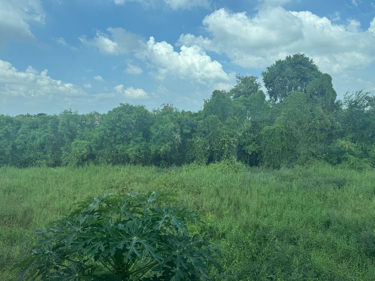 For RentShop HouseNonthaburi, Bang Yai, Bangbuathong : Commercial building for rent, 4.5 floors, Ban Kluay-Sai Noi Road, beautiful, cheap, good location, convenient parking, near Central Westgate. The house left very quickly. Interested? Line @841qqlnr