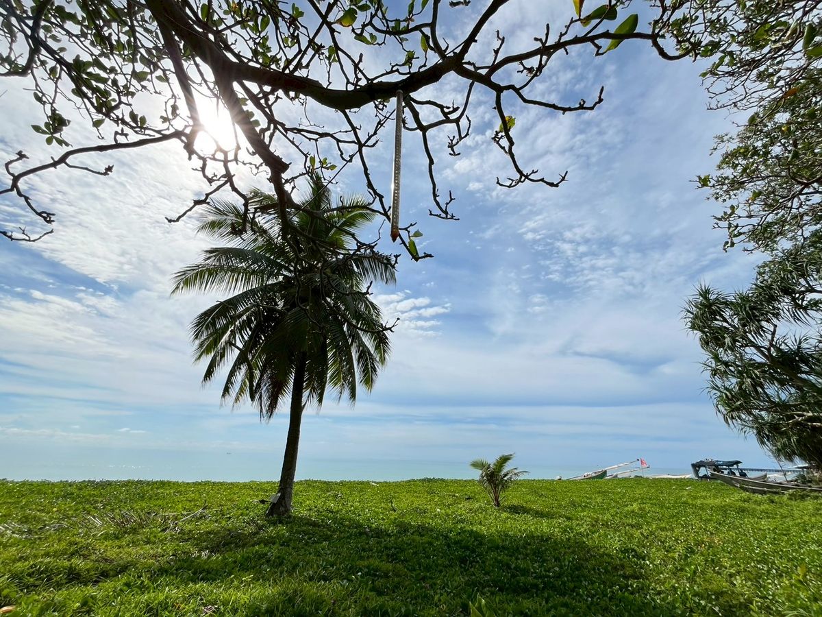 For SaleHotel&Apartment BusinessPhangnga : Urgent Sale – Beachfront Resort in Natai Beach, Phang Nga