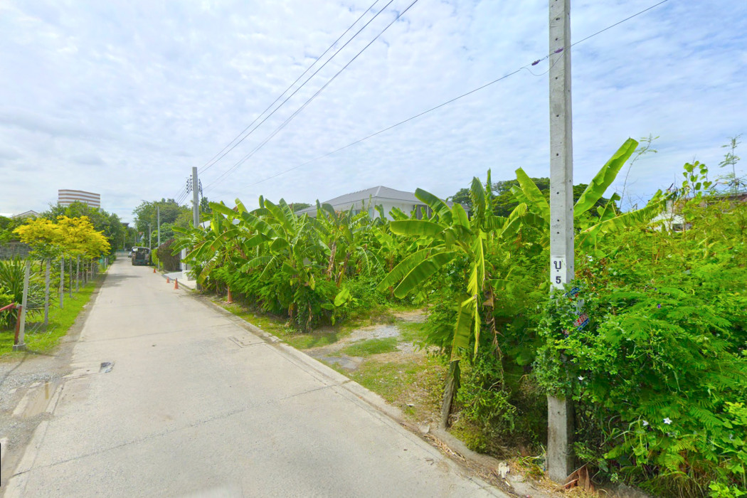 ขายที่ดินสมุทรปราการ สำโรง : ขาย ที่ดิน ซอยแบริ่ง 31-1 ขนาด 260 ตรว ใกล้ถนนแบริ่ง แค่ 140 เมตร KK