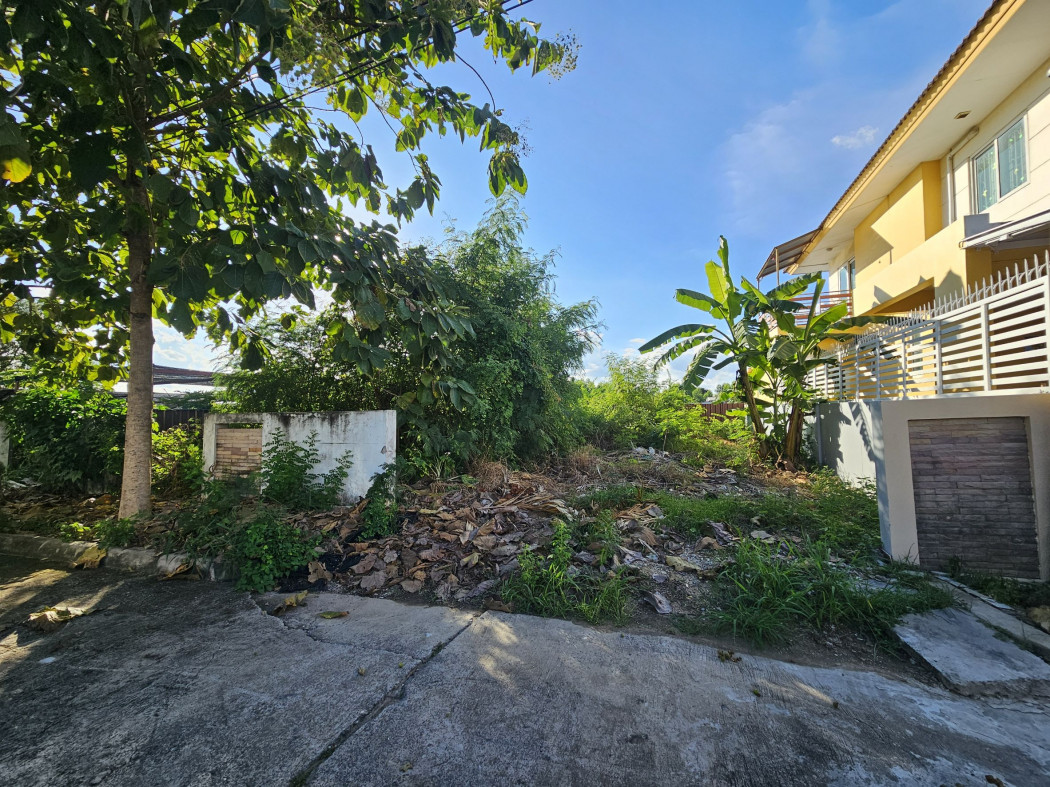 ขายที่ดินนนทบุรี บางใหญ่ บางบัวทอง : ขายที่ดินเปล่า ถมแล้ว อยู่ในโครงการเดอะเกรท ใกล้ถนนบางกรวย - ไทรน้อย เหมาะสร้างบ้าน ขนาด 55 ตรว