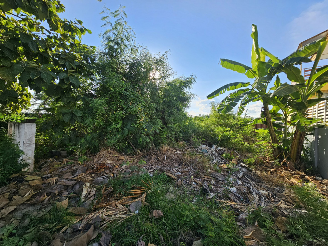 ขายที่ดินนนทบุรี บางใหญ่ บางบัวทอง : ขายที่ดินเปล่า ถมแล้ว อยู่ในโครงการเดอะเกรท ใกล้ถนนบางกรวย - ไทรน้อย เหมาะสร้างบ้าน ขนาด 55 ตรว