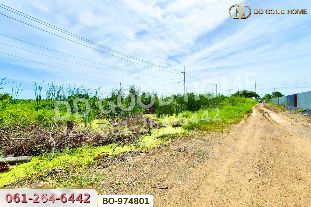 ขายที่ดินปทุมธานี รังสิต ธรรมศาสตร์ : BO-974801 ที่ดินคลองสอง 1 ไร่ 19.1 ตร.ว. ปทุมธานี ใกล้ฟิวเจอร์พาร์ค รังสิต