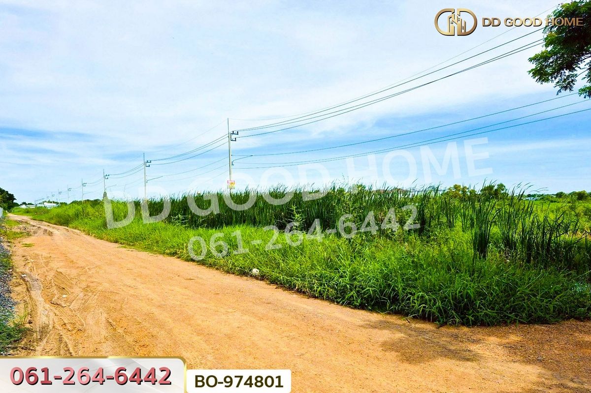 ขายที่ดินปทุมธานี รังสิต ธรรมศาสตร์ : BO-974801 ที่ดินคลองสอง 1 ไร่ 19.1 ตร.ว. ปทุมธานี ใกล้ฟิวเจอร์พาร์ค รังสิต