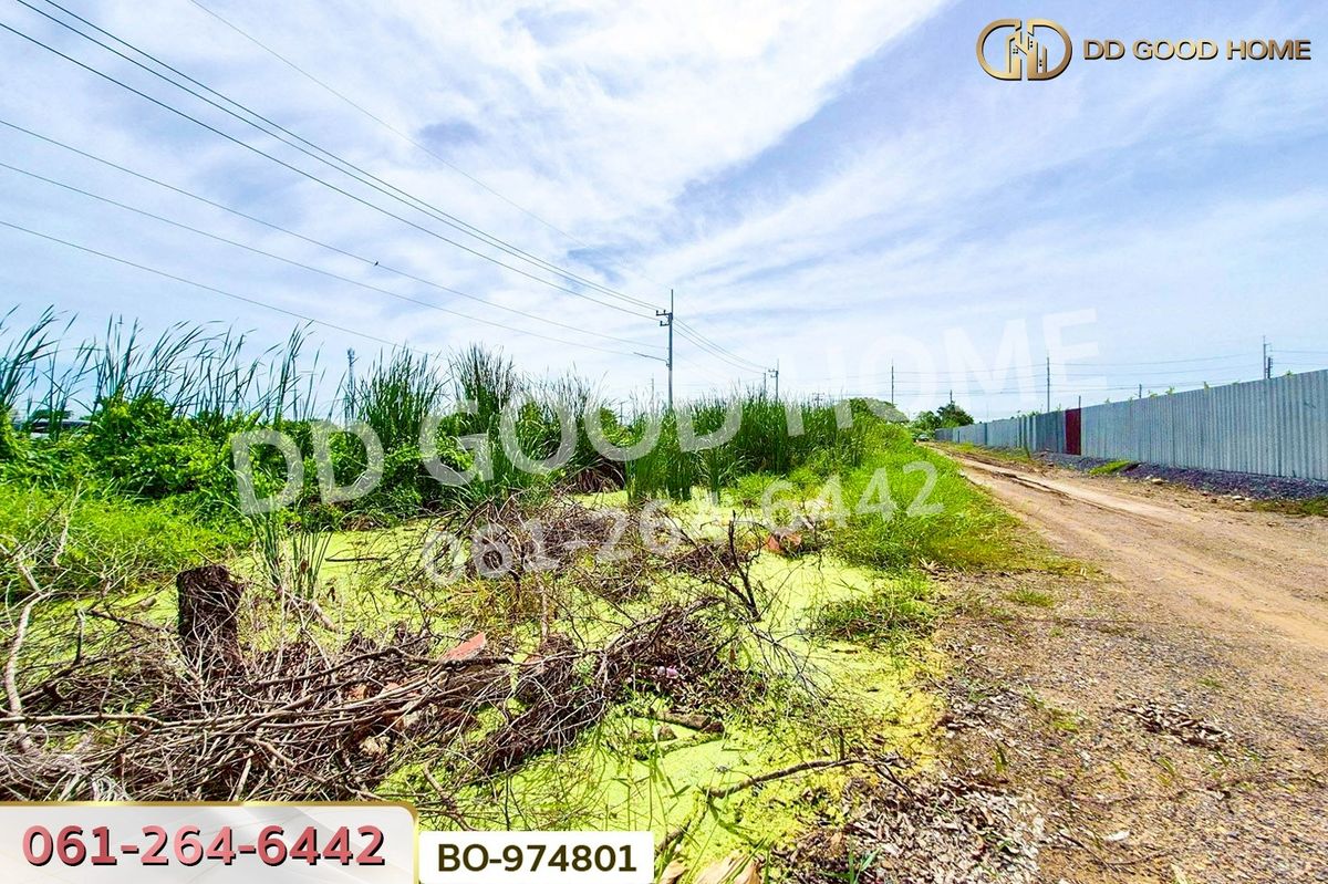 ขายที่ดินปทุมธานี รังสิต ธรรมศาสตร์ : BO-974801 ที่ดินคลองสอง 1 ไร่ 19.1 ตร.ว. ปทุมธานี ใกล้ฟิวเจอร์พาร์ค รังสิต