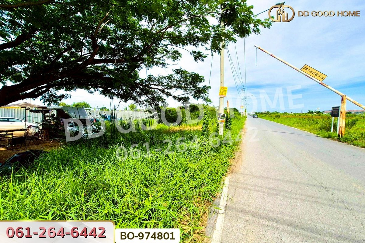 ขายที่ดินปทุมธานี รังสิต ธรรมศาสตร์ : BO-974801 ที่ดินคลองสอง 1 ไร่ 19.1 ตร.ว. ปทุมธานี ใกล้ฟิวเจอร์พาร์ค รังสิต