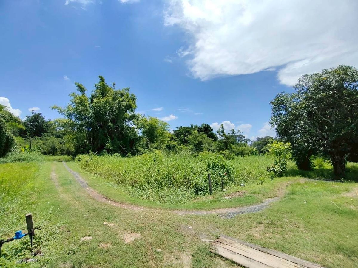 ขายที่ดินนครนายก : ‼️ขายด่วน 3งาน 66.8 ตร.ว  ที่ดินสวย ถูกที่สุด ต่ำกว่าราคาตลาด ต่ำกว่าราคาประเมิน เข้าซอยมาจากถนนใหญ่เพียง 300เมตร 📍ซ.ชลประสิทธิ์19 ที่ดินในเมืองนครนายก เดินทางสะดวก