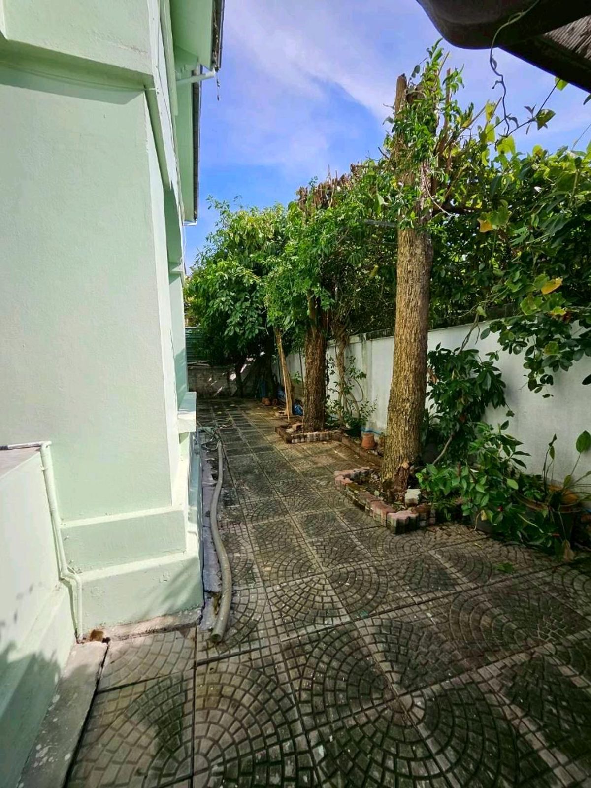 ขายบ้านเอกชัย บางบอน : ราคาearly bird ก่อนรีโนเวทเสร็จ บ้านเดี่ยวหลังมุม พร้อมสวนสีเขียวรอบบ้าน หมู่บ้านชัยพฤกษ์ บางบอน 77.5 ตร.ว. พื้นที่ใช้สอย 250 ตร.ม. 3 ห้องนอน 2 ห้องน้ำ เพียง 6.7 ล้าน ฟรีค่าโอน เดินทางสะดวกหลายเส้นทาง