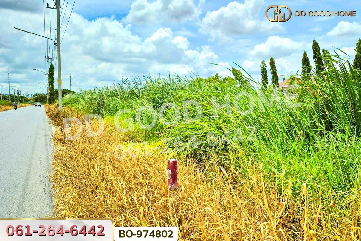 ขายที่ดินปทุมธานี รังสิต ธรรมศาสตร์ : BO-974802 ที่ดินคลองสอง 377.7 ตร.ว. ปทุมธานี ใกล้ฟิวเจอร์พาร์ค รังสิต