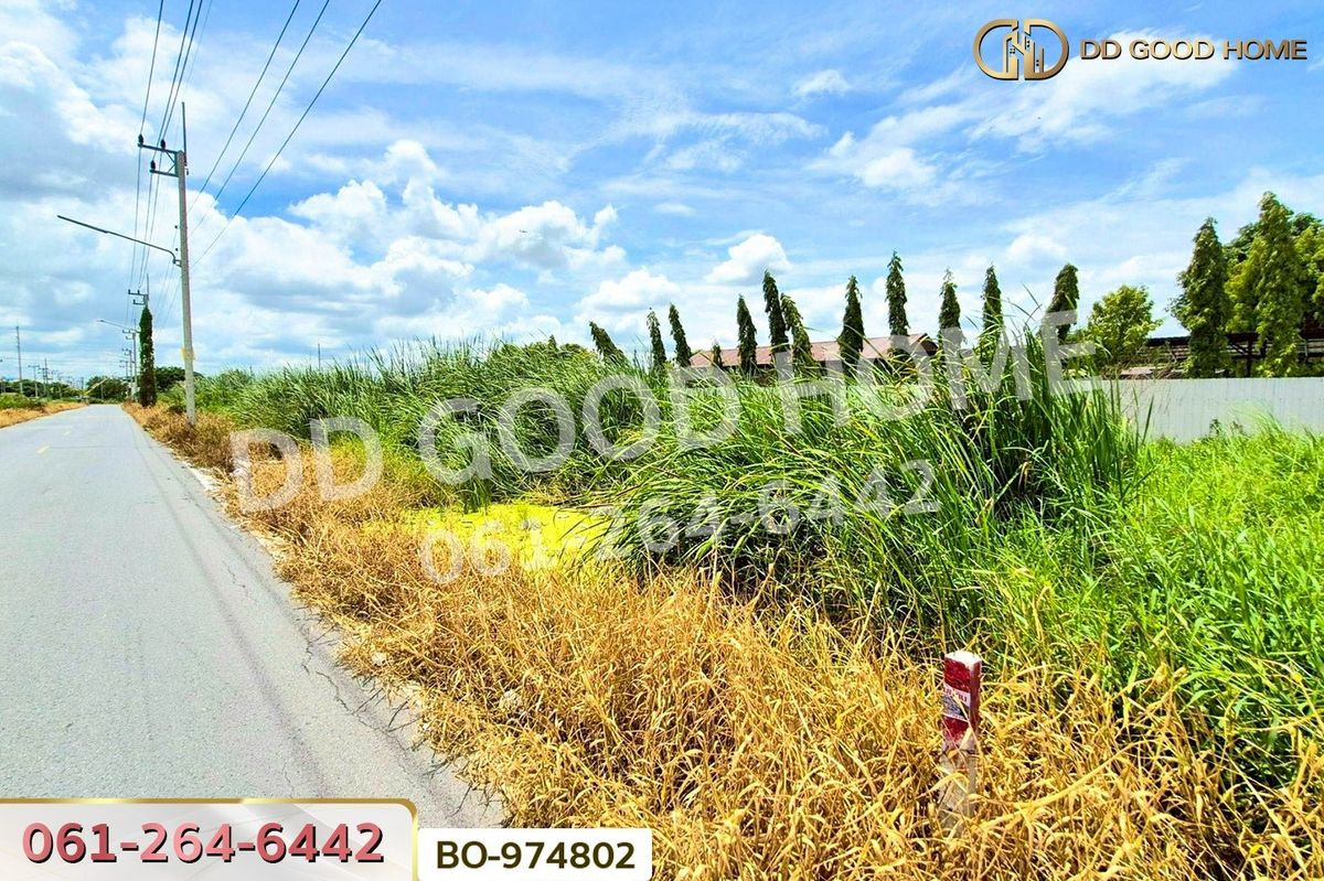 ขายที่ดินปทุมธานี รังสิต ธรรมศาสตร์ : BO-974802 ที่ดินคลองสอง 377.7 ตร.ว. ปทุมธานี ใกล้ฟิวเจอร์พาร์ค รังสิต