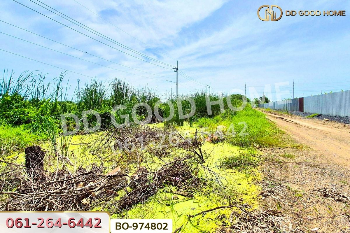 ขายที่ดินปทุมธานี รังสิต ธรรมศาสตร์ : BO-974802 ที่ดินคลองสอง 377.7 ตร.ว. ปทุมธานี ใกล้ฟิวเจอร์พาร์ค รังสิต