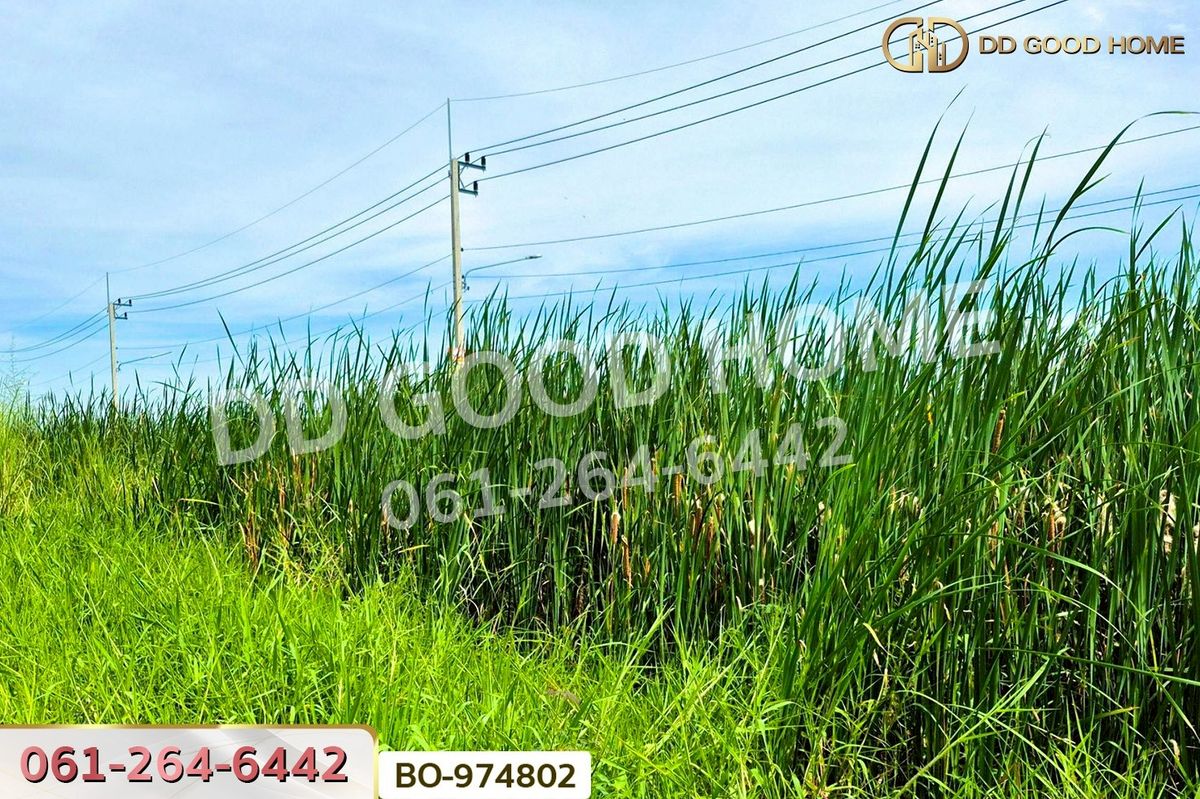 ขายที่ดินปทุมธานี รังสิต ธรรมศาสตร์ : BO-974802 ที่ดินคลองสอง 377.7 ตร.ว. ปทุมธานี ใกล้ฟิวเจอร์พาร์ค รังสิต