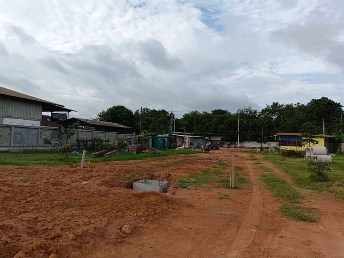ขายที่ดินศรีราชา แหลมฉบัง บ้านบึง : ขายที่ดินเปล่านาพร้าว แหล่งชุมชน เขตชุมชนซอยลุงเทิ้ม ศรีราชา ชลบุรี  