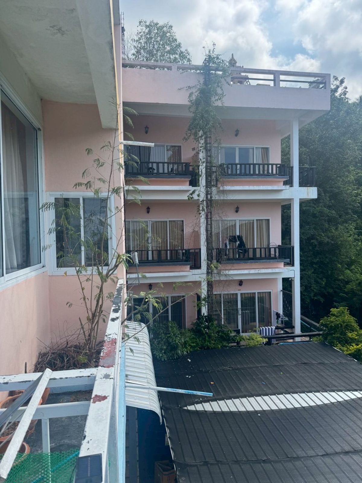 For SaleHotel&Apartment BusinessKoh Samui, Surat Thani : Hotel business for sale with tenants, Sairee Seaview, Koh Tao, Koh Phangan District. Surat Thani Province