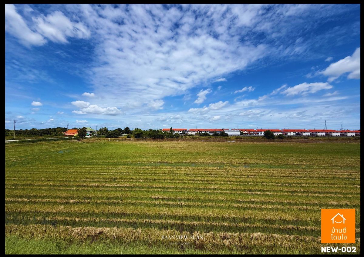 ขายบ้านนนทบุรี บางใหญ่ บางบัวทอง : บ้านวิวสวน บ้านกล้วย-ไทรน้อย (38.2 ตร.ว.) 3 นอน 3 น้ำ 1 สวยพร้อมอยู่