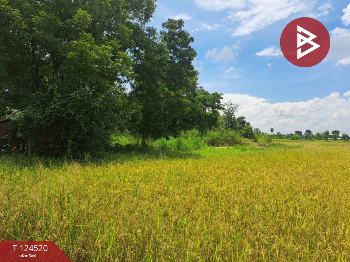 ขายที่ดินแปลงใหญ่ เนื้อที่ 44 ไร่ 2 งาน หนองฉาง อุทัยธานี Loading...