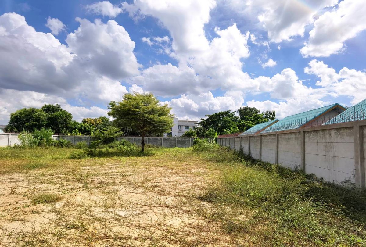 ขายที่ดินพุทธมณฑล ศาลายา : The Best Spot! ที่ดินแปลงสวย 1-1-60 ไร่ ริมถนนบางเชือกหนัง ทำเลทองติดถนนพระเทพฯ พร้อมพัฒนาทันที! 🔥