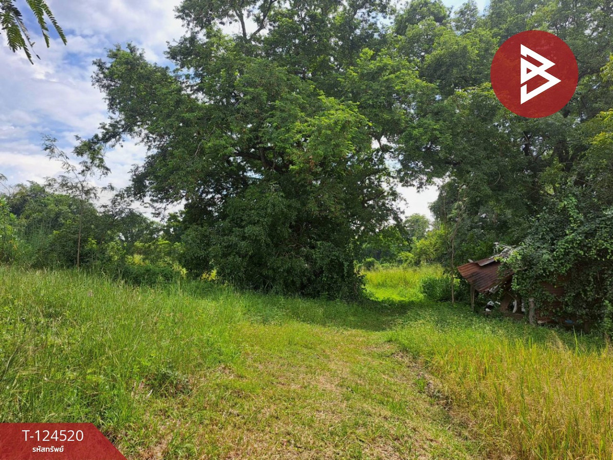 ขายที่ดินแปลงใหญ่ เนื้อที่ 44 ไร่ 2 งาน หนองฉาง อุทัยธานี Loading...