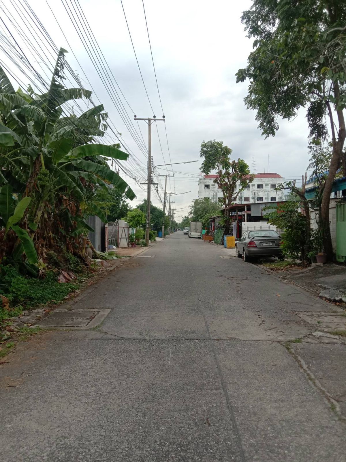 ขายที่ดินปทุมธานี รังสิต ธรรมศาสตร์ : ที่ดินคลอง2 (ซอยรังสิต-นครนายก33) ใกล้ตลาดพระรูป 1.35 ล้าน หาราคานี้ไม่ได้อีกแล้ว