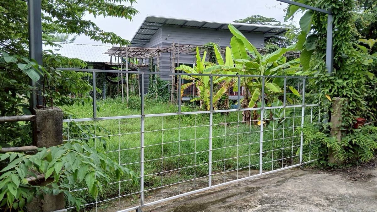 ให้เช่าที่ดินเชียงใหม่ : ให้เช่าที่ดิน “หางดง – เชียงใหม่” เดินทางสะดวก ติดถนน 2 ด้าน 300 ตารางวา