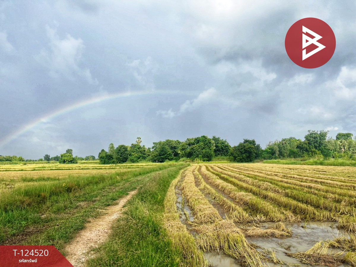 ขายที่ดินอุทัยธานี : ขายที่ดินแปลงใหญ่ เนื้อที่ 44 ไร่ 2 งาน หนองฉาง อุทัยธานี