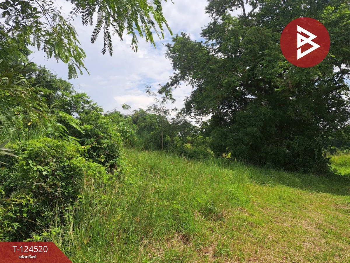 ขายที่ดินแปลงใหญ่ เนื้อที่ 44 ไร่ 2 งาน หนองฉาง อุทัยธานี Loading...