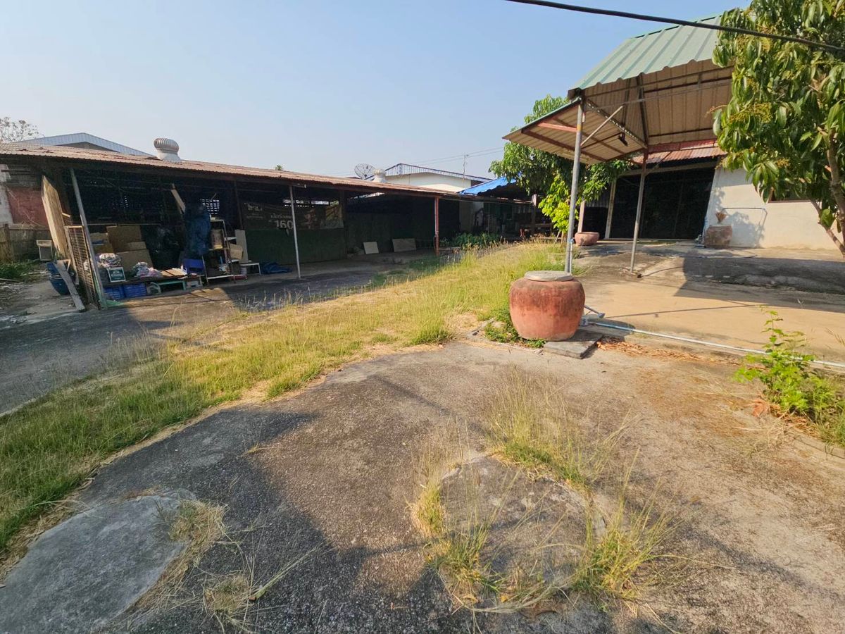 HousePhetchabun : House for sale-rent with warehouse near Lom Sak Market, near Lom Sak Municipality. Can open a shop to sell, near the market.